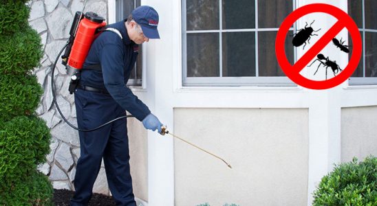 Gürpınar Dezenfeksiyon böcek ilaçlama ve haşere kontrolü — ilaclama-tr.com